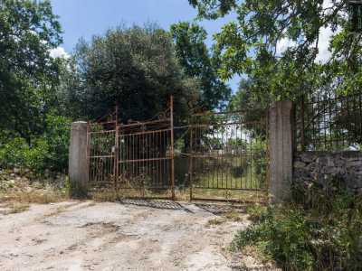 Qua e l� si aprono poi terreni destinati al pascolo...
